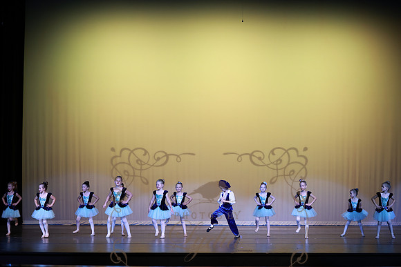 Pied Piper (66)