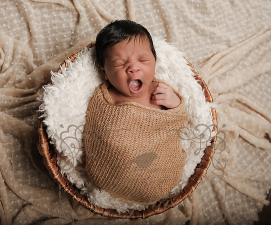 Luca (41)