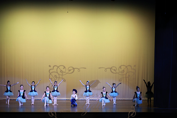 Pied Piper (78)