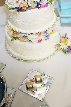 Cake & Toasts (3)