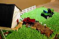 Cake & Toasts (5)