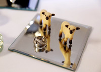 Decor (28)