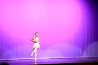 Don Quixote (15)