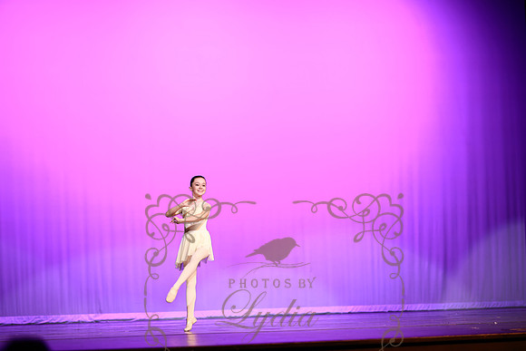 Don Quixote (15)