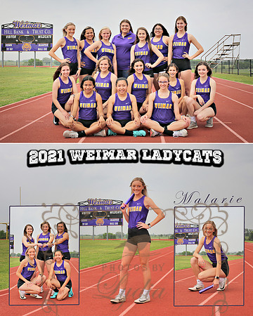 CollageMalarie