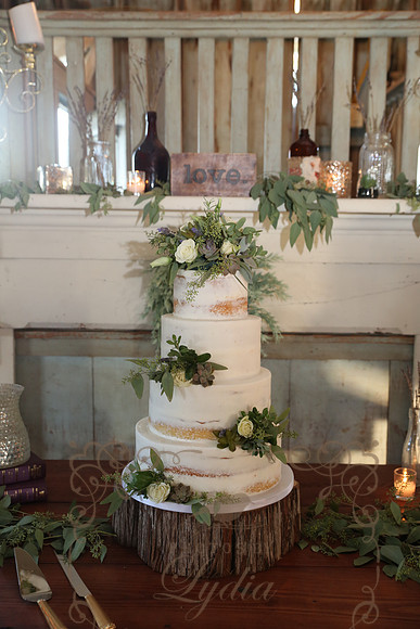Cake & Toasts (3)