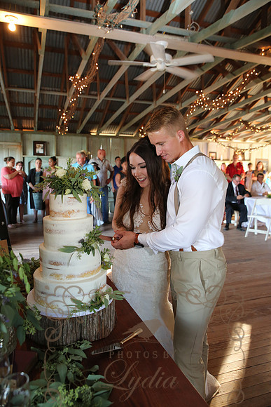 Cake & Toasts (6)