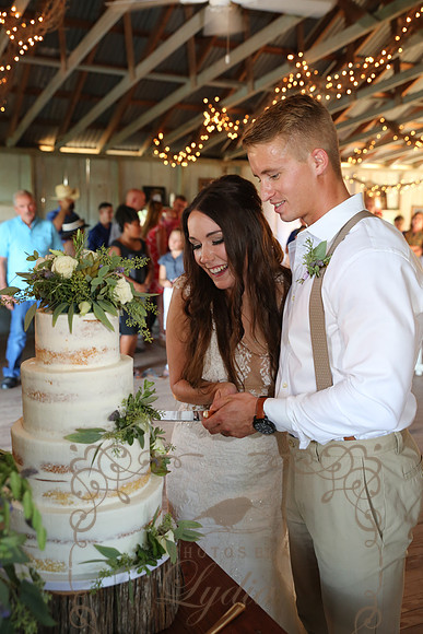 Cake & Toasts (7)