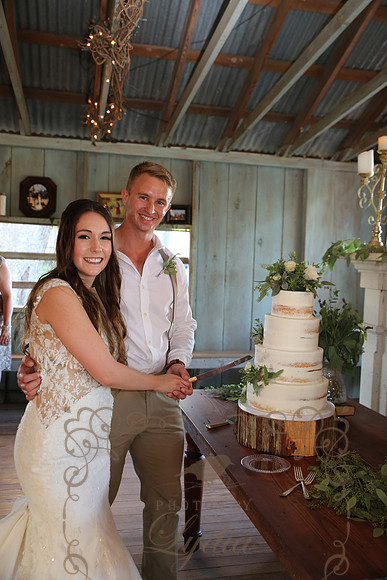Cake & Toasts (8)