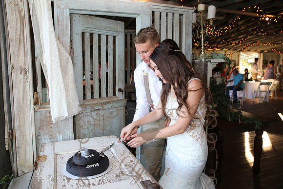 Cake & Toasts (16)
