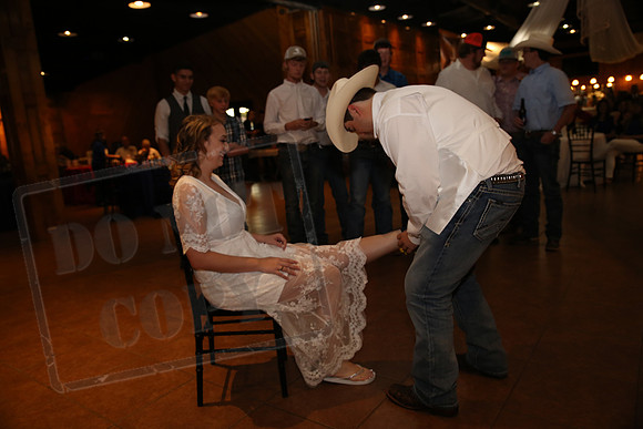 Reception (101)