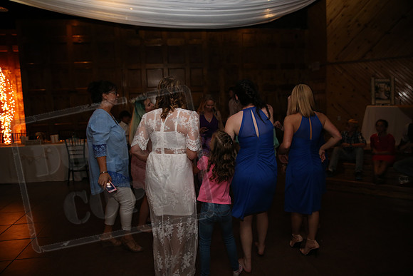 Reception (117)