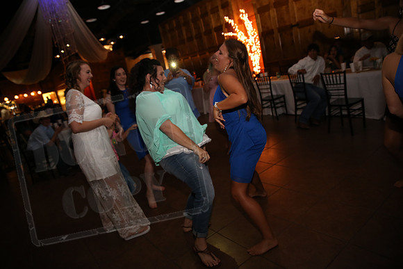 Reception (119)