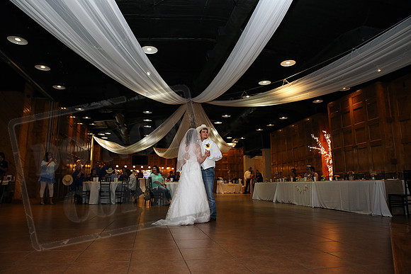 Reception (15)