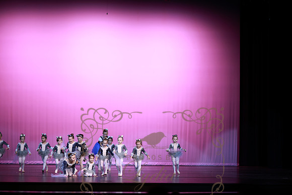 Cinderella (67)