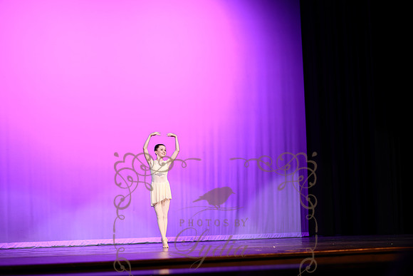 Don Quixote (13)