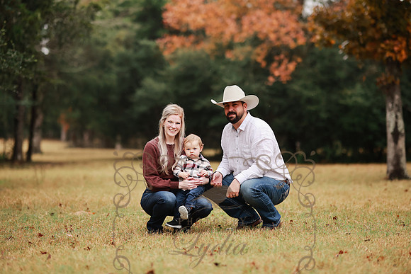 Brant (38)