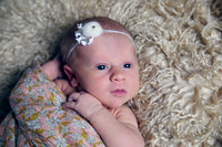 5V3B0954