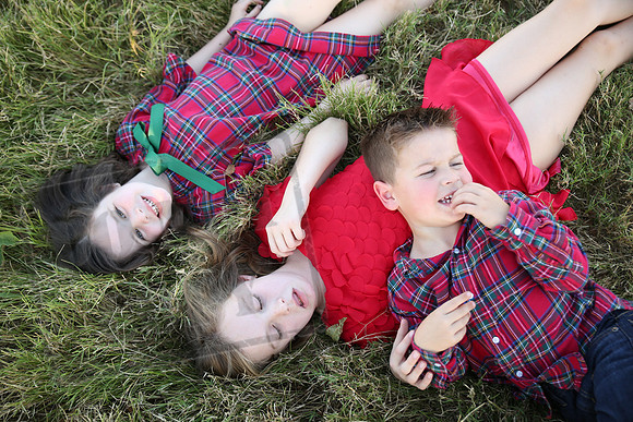 5V3B7329