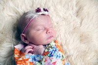 Charlotte (5)