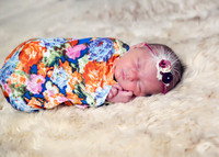 Charlotte (1)