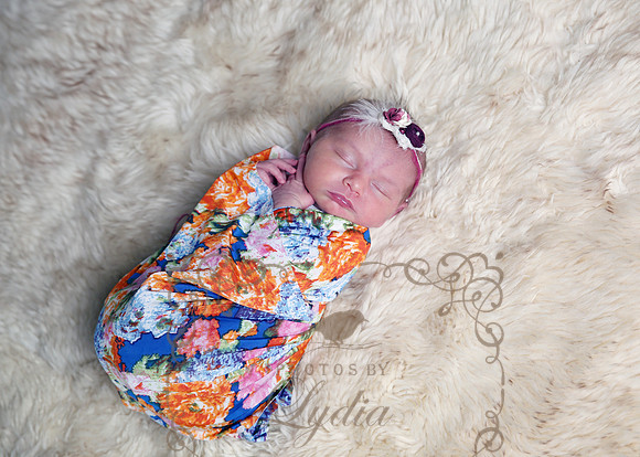 Charlotte (4)