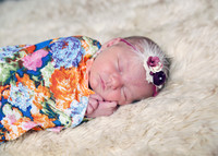 Charlotte (3)