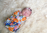 Charlotte (8)
