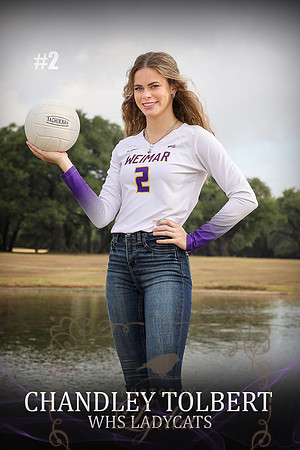 BANNER CHANDLEY