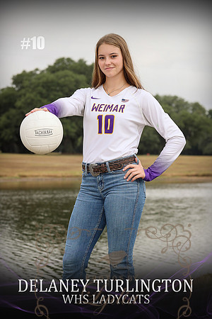 BANNER DELANEY