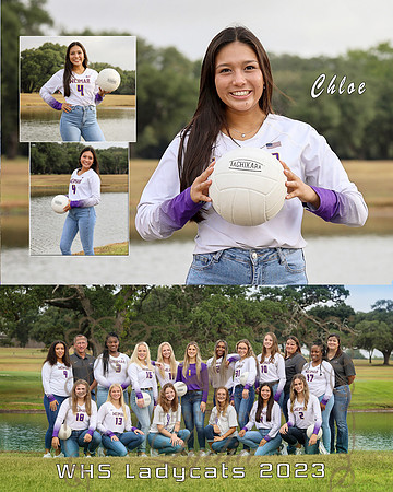 Collage Chloe copy