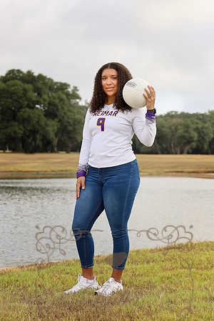Vball-25