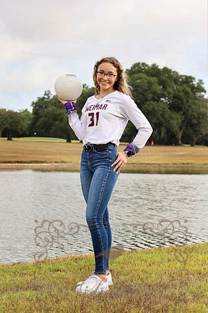 Vball-40