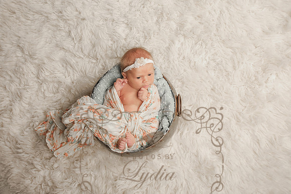 Sophia-112