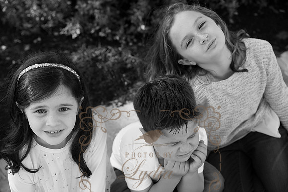 5V3B8551bw