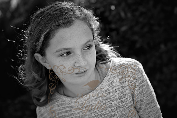 5V3B8335bw