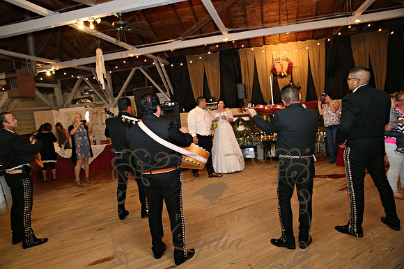 Reception Candids (92)