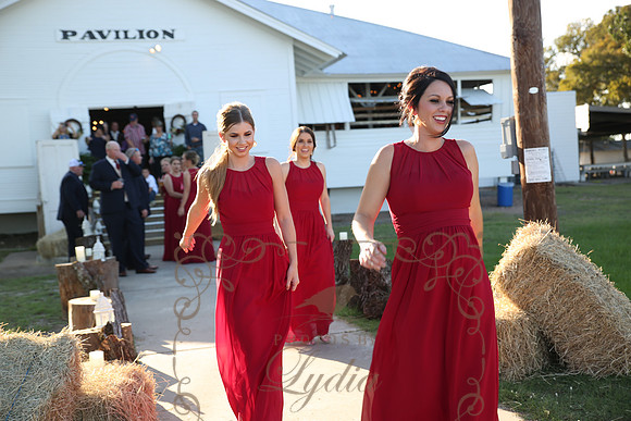 Reception Candids (36)