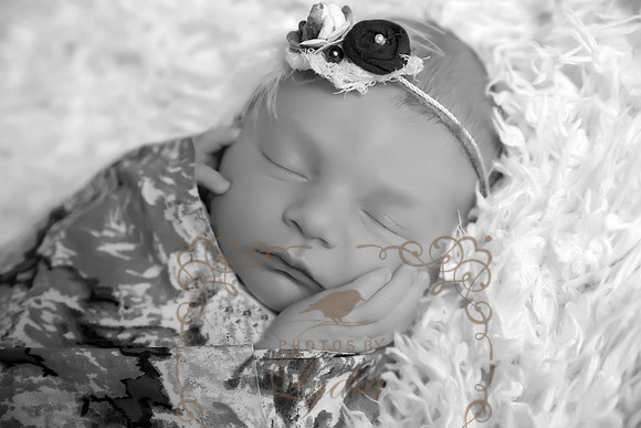 Charlotte (17)EDITb