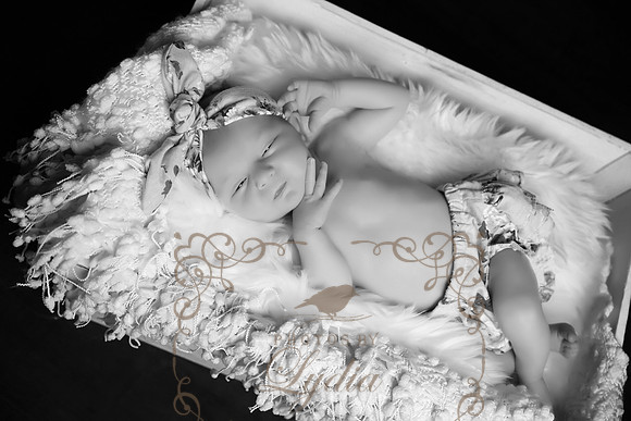 Charlotte (90)EDITb