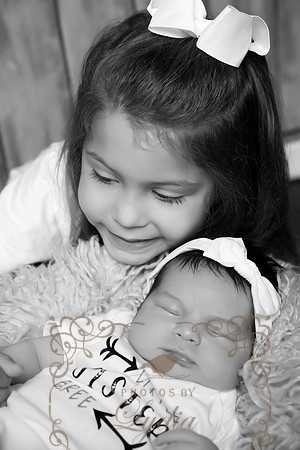 5V3B8273bw