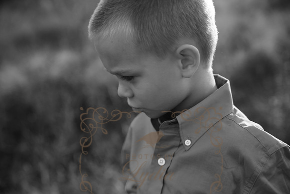 5V3B7065bw