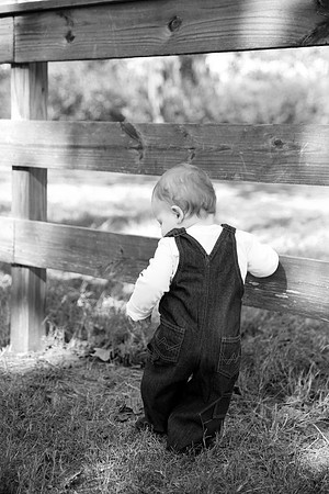 5V3B8567bw