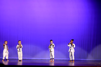 Taekwondo (15)