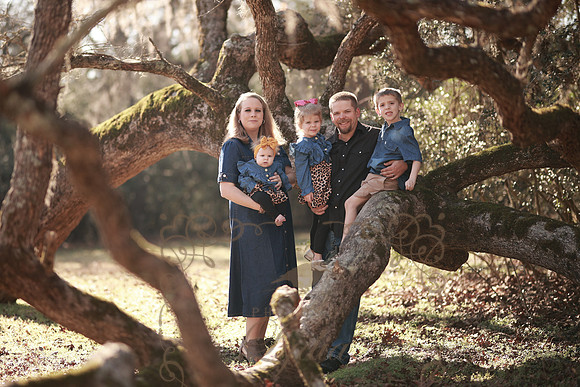 Family-31
