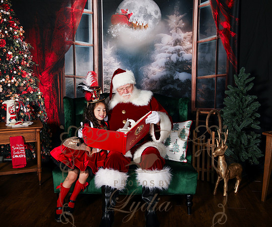 Santa-208