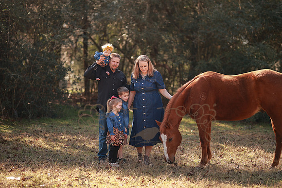 Family-120