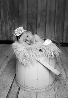 5V3B7063bw