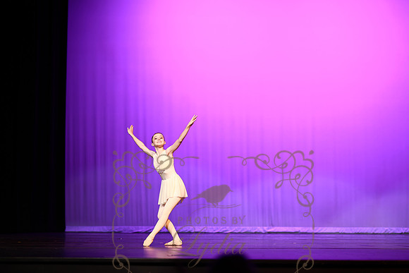 Don Quixote (34)