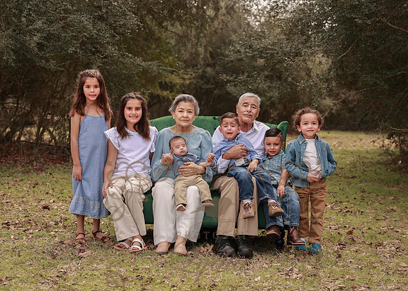 Family-31